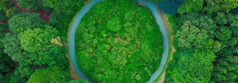 TypeScript Declarations aus Spring REST API Metadaten generieren