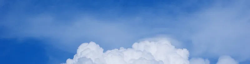 Wie man eine WordCloud mit AngularJS + D3 erstellt