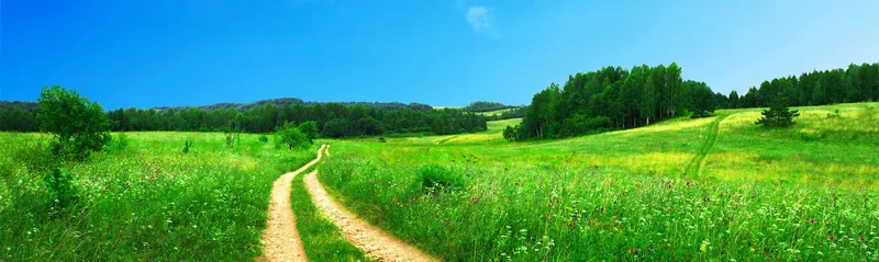 Spring Web MVC mit AngularJS - Eine Fallstudie