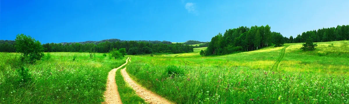 Artikel Header Bild zu Spring Web MVC mit AngularJS - Eine Fallstudie