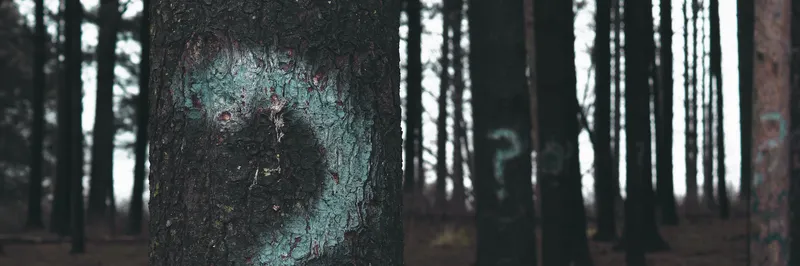 Was sind Angular und AngularJS?