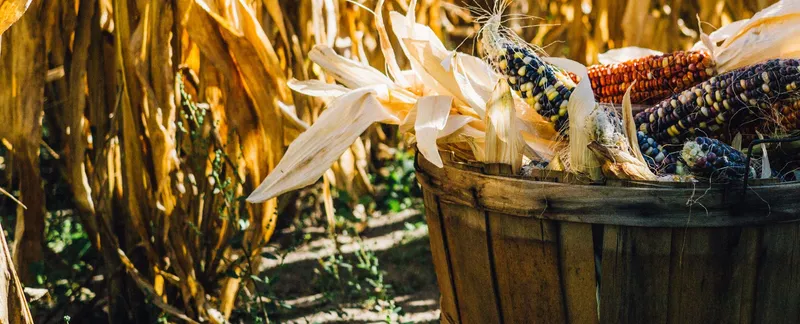 Ionic Framework Tutorial - Umgang mit Popups