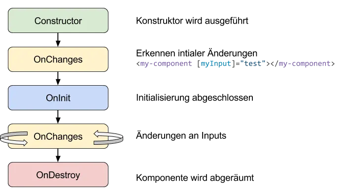 Lifecycle Hooks Angular from init to destroy